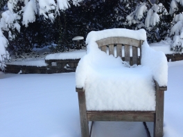 5 Things to Bring Out of the Elements This Winter