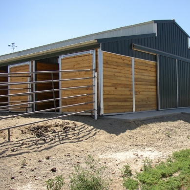 blog/1544756969horse_safety.jpg Is Your Barn Safe Enough for Your Horses?