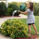 How to Keep Your Family Safe Around the Hazardous Materials in Your Shed