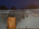 Customer Testimonial - Building Survived a Fire